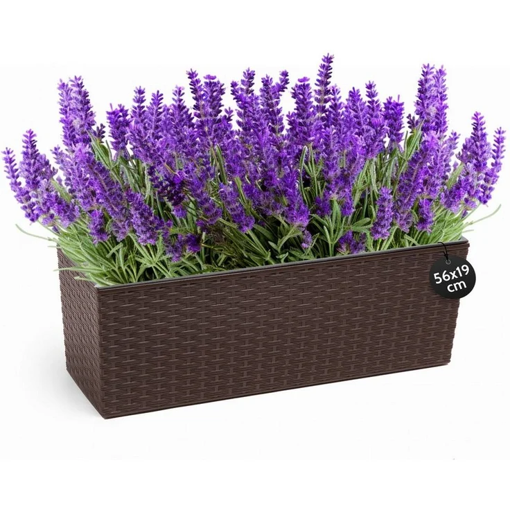 KONZEPT Balkonkasten Hochwertige Blumenkasten Rattan-Optikin, rechteckig 56 x 19 cm, Balkonkasten ideal fur Balkon, Terrasse, Fensterbank – Bild 1