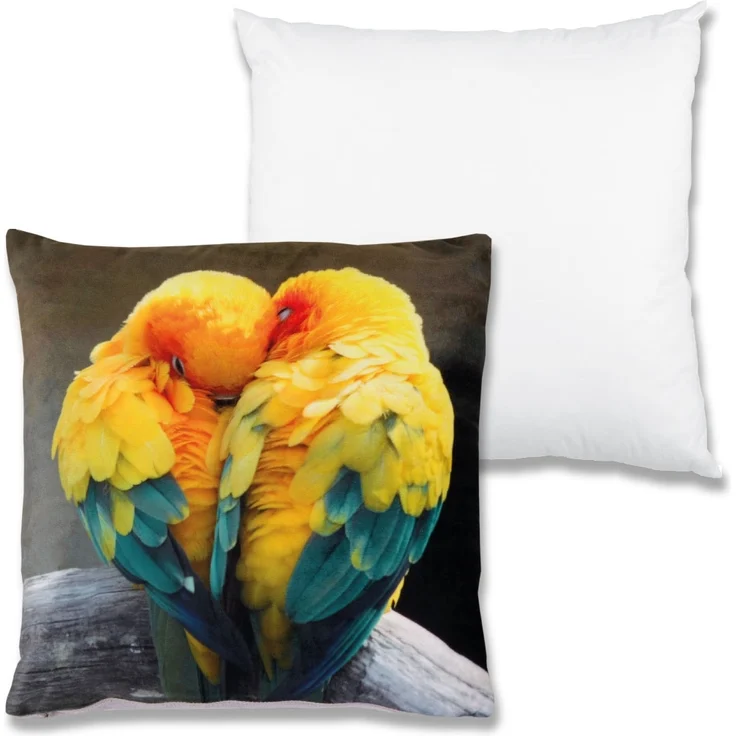 Bestlivings Dekokissen Fotodruck Motiv in 40x40 cm, Flauschig weiches Kissen in vielen Motiven erhältlich ( Design: Sittiche ) – Bild 3