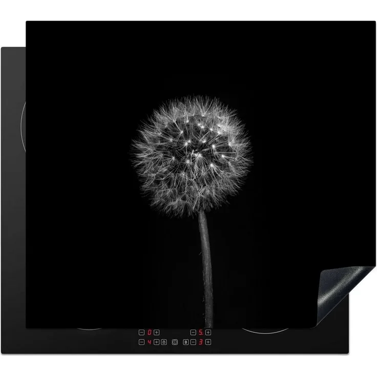 MuchoWow Herd-Abdeckplatte Löwenzahn - Schwarz - Floral - Botanisch, Vinyl, (1 tlg), Abdeckplatte für Ceranfeld, Herd Inductionsmatte, 57x51 cm