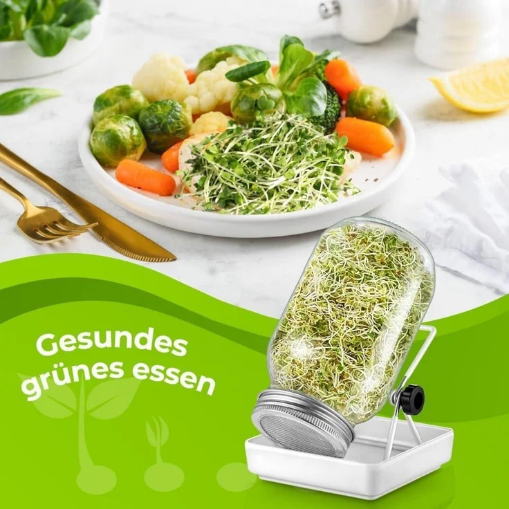 Ecooe Sprossen Keimglas Set Sprouting Jar Edelstahl 304 Ständer 3er 750ml – Bild 2