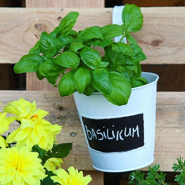 CEPEWA Übertopf Übertopf 3er Set weiß Ø15cm H15cm Kräutertopf (3 St) – Bild 3