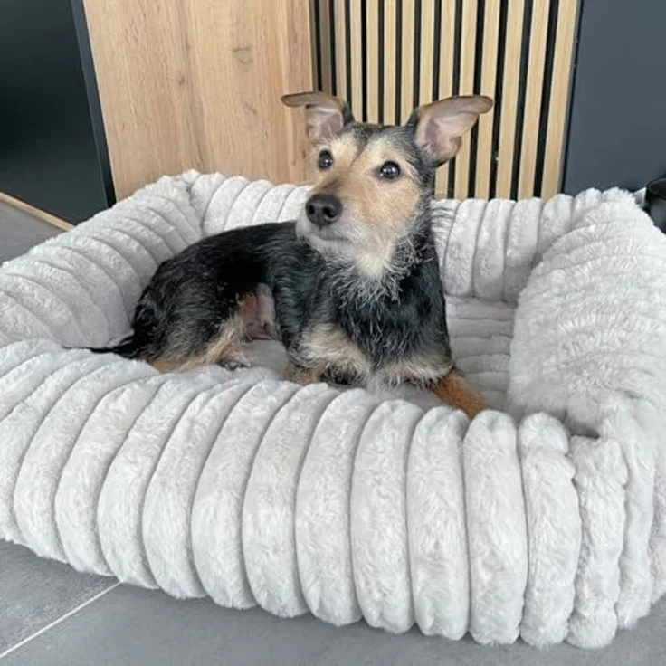 Wallace & Jones Tierbett Hundebett Mary, Hundekörbchen, weich, Breitcord Optik – Bild 3