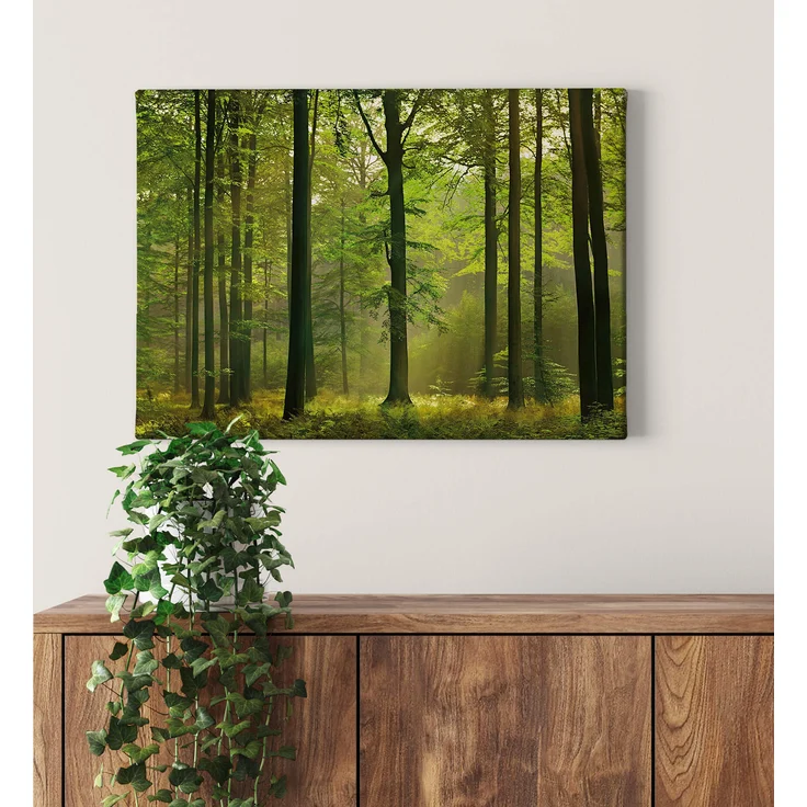 Leinwandbild Wald Grün Braun 70x50 DD123014 Keilrahmenbild Wandbild Leinwand – Bild 2