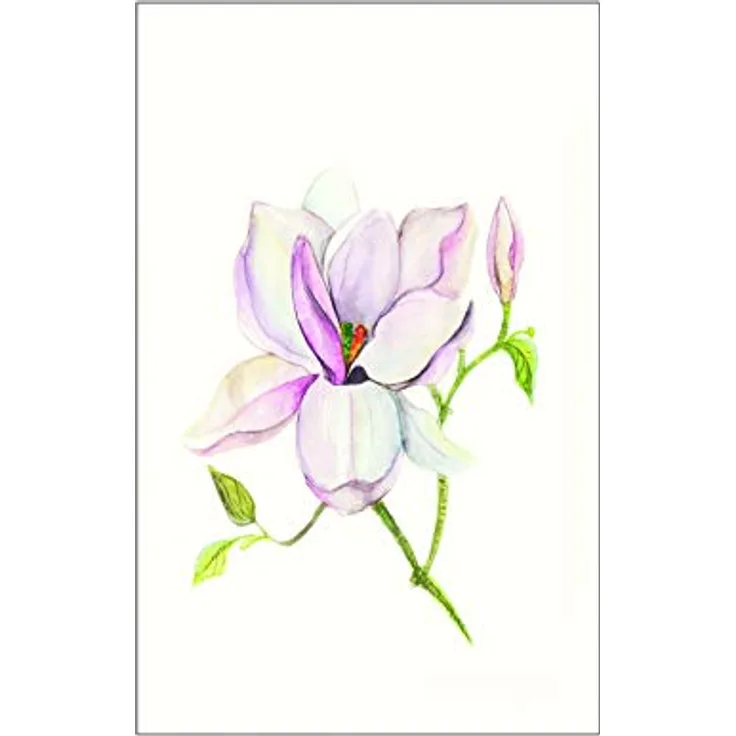 Komar Wandbild Magnolia Shine, Premium Kunstdruck auf hochwertigem Fotopapier, Größe: 50 x 70 cm, ohne Rahmen