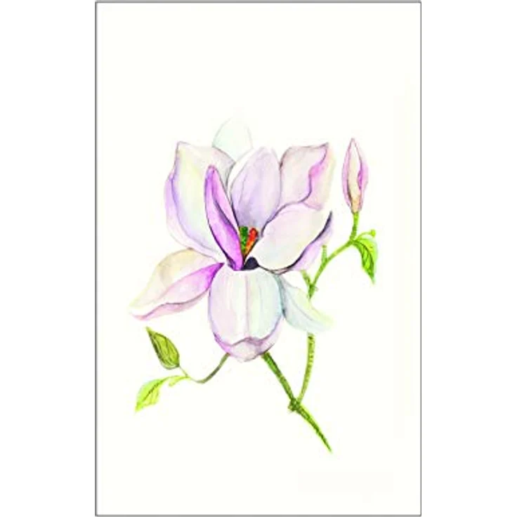 Komar Wandbild Magnolia Shine, Premium Kunstdruck auf hochwertigem Fotopapier, Größe: 50 x 70 cm, ohne Rahmen – Bild 1