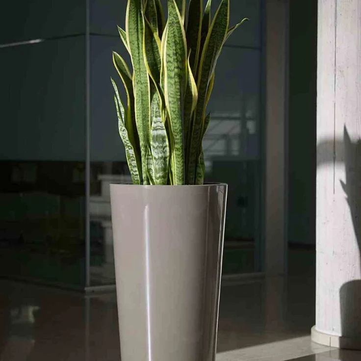 Pflanztopf TUIT Ø 40 cm taupe – Bild 2