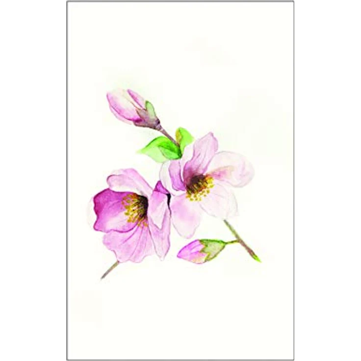Komar Magnolia Breathe, Wandbild aus hochwertigem Fotopapier, 50 x 70 cm, ohne Rahmen, fotorealistischer Kunstdruck, MADE IN GERMANY – Bild 1