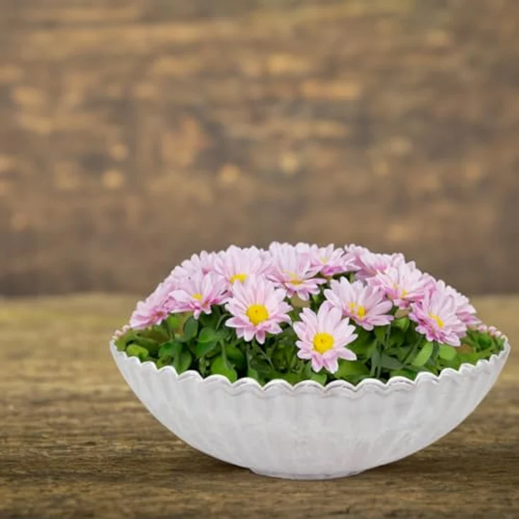 matches21 HOME & HOBBY Blumentopf Dekoschale runde Pflanzschale für draussen grau marmoriert 22 cm (1 St), Blumen-Schale als wetterfeste Friedhof-Schale Grab-Schmuck Grabschale – Bild 8