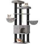 Feandrea Kratzbaum groß, mehrstöckiger Katzenbaum, XXL, 55 x 55 x 186,7 cm, 11 cm d Dicke Sisalstämme, für große Katzen wie Maine-Coon-Katze, Katzenkratzbaum, Taubengrau-tintenschwarz