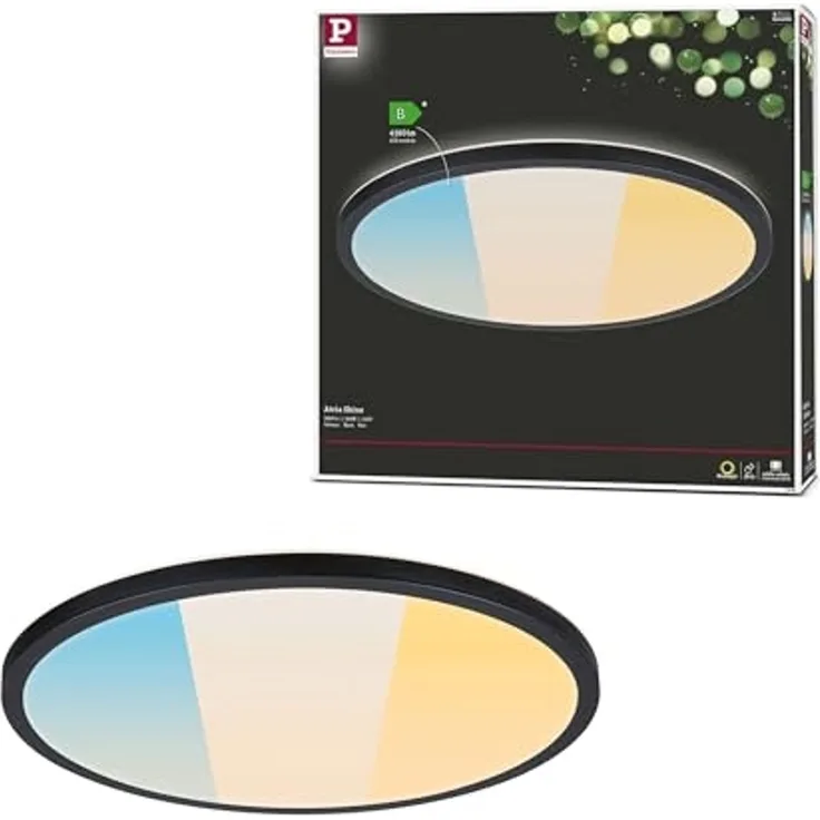 Paulmann 71258 LED Panel Atria Shine 398mm 3000-6500K Schwarz IP44