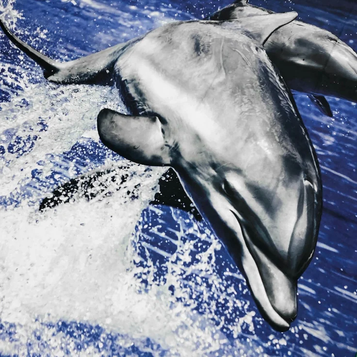 ESPiCO Sleep and Dream Bettwäsche Delphin 3D Digitaldruck blau Baumwolle 135 x 200 + 80 x 80 cm – Bild 5