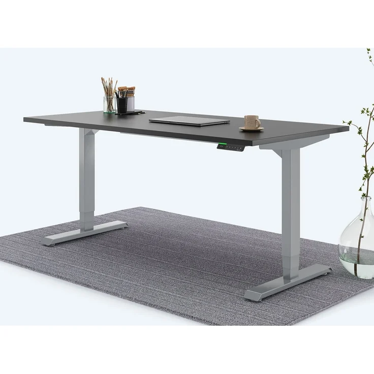 Desktopia Pro X - Elektrisch höhenverstellbarer Schreibtisch / Ergonomischer Tisch mit Memory-Funktion, Schwarz, Gestell Grau, 120x80 cm – Bild 1