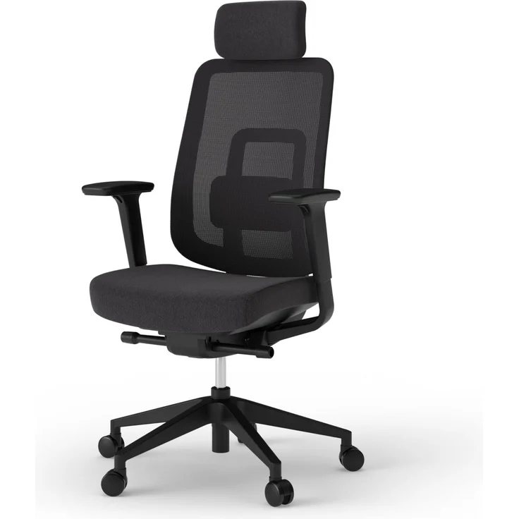 Ergotopia 'PureBack' ergonomischer Bürostuhl mit Lordosenstütze & 4D-Armlehne, Schwarz, mit Kopfstütze – Bild 1