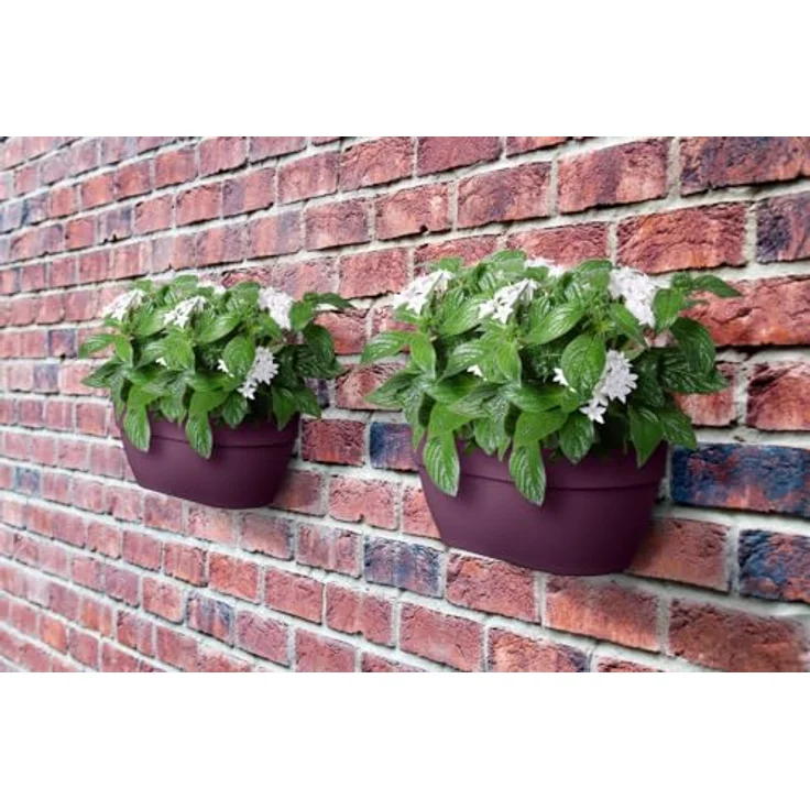 elho Vibia Campana Wandampel 35 - Übertopf für Balkon & Außen - Ø 35.0 x H 14.8 cm - Lila/Ahorn Lila – Bild 6