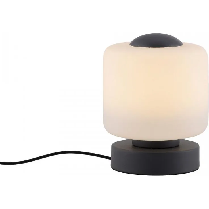 Paul Neuhaus 4037-13 Bota Tischleuchte anthrazit rund Touchdimmer