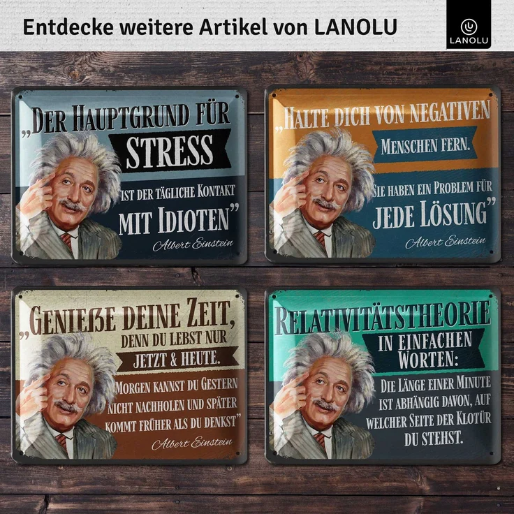 LANOLU Blechschild Einstein Genieße deine Zeit - 15x20cm – Metall – Mehrfarbig – 15205 – Bild 5