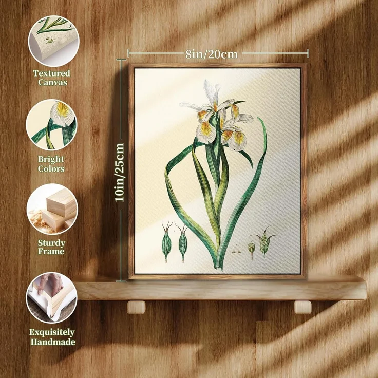 Vintage Botanische Leinwandbilder mit Holzrahmen 20x25 cm Wandbilder Wohnzimmer – Bild 4