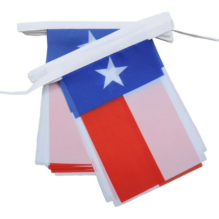 AZ FLAG Wimpelkette Texas 6 m 20 Flaggen Leichtes Polyester 21x15 cm
