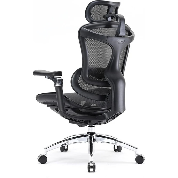 Sihoo 'Doro C300 Pro' ergonomischer Schreibtischstuhl, 130 x 75,5 cm, in Schwarz – Bild 16