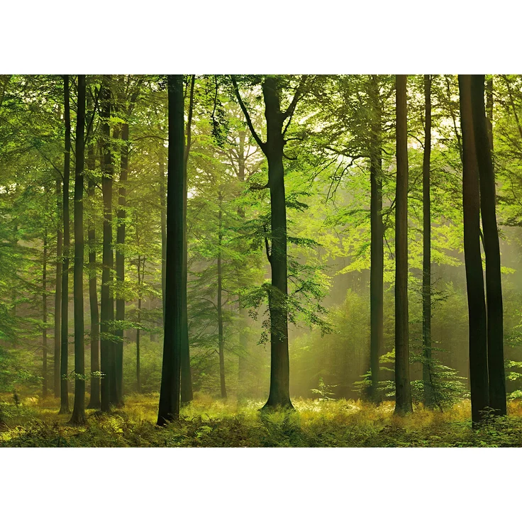 Leinwandbild Wald Grün Braun 70x50 DD123014 Keilrahmenbild Wandbild Leinwand – Bild 1