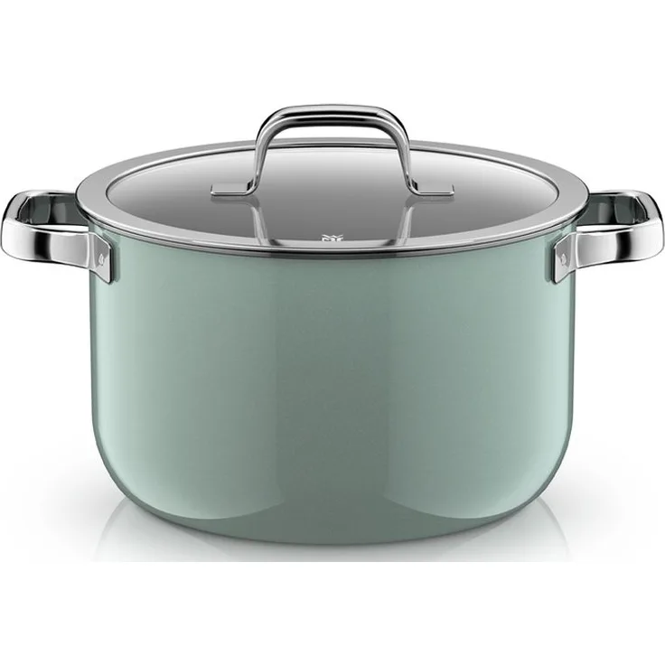 WMF Kochtopf 24cm Fusiontec Mineral Pro Eukalyptus