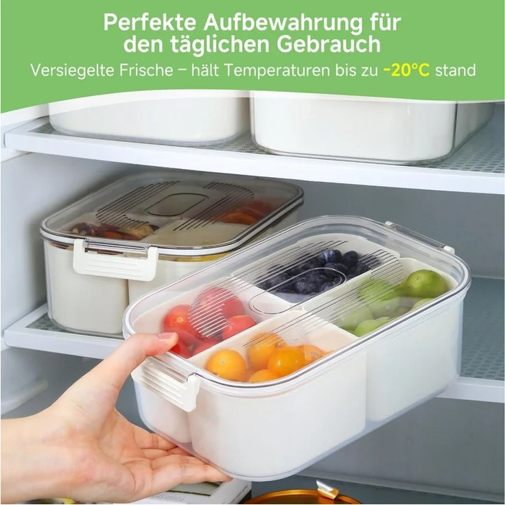 Elegear Vorratsdose Snackbox mit 4 Fächern, Snackschale Kinder, Snackteller mit Deckel, Polypropylen, (1-tlg), Wiederverwendbare Portable Snack Box Snackdose, Spülmaschinenfest – Bild 3