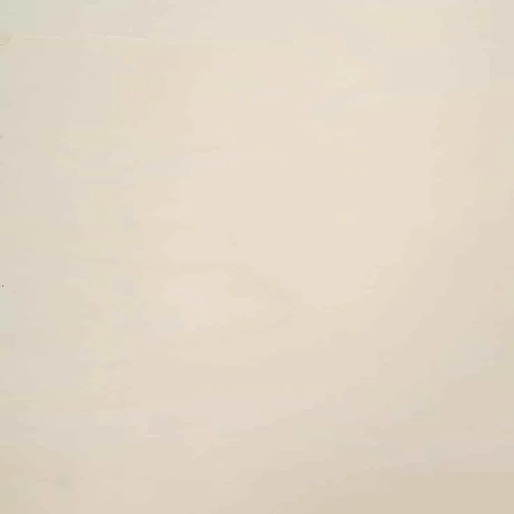 vidaXL Wanddisplay-Case mit Regal Beige 98 x 4,5 x 55 cm Holzwerkstoff 42015608 – Bild 10