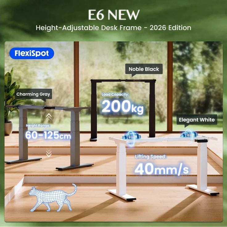 FLEXISPOT Schreibtisch Elektrisch höhenverstellbares Tischgestell E6 (2 Motore, 3-Fach-Teleskop, 4 Speicherplätze, höhenverstellbar von 60–125 cm, Geschwindigkeit 40 mm/s), Kollisionschutz Funktion, USB Ladeanschluss, MAX Load: 200KG – Bild 1