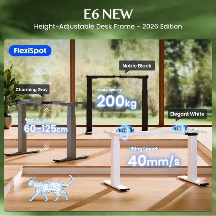 FLEXISPOT Schreibtisch Elektrisch höhenverstellbares Tischgestell E6 (2 Motore, 3-Fach-Teleskop, 4 Speicherplätze, höhenverstellbar von 60–125 cm, Geschwindigkeit 40 mm/s), Kollisionschutz Funktion, USB Ladeanschluss, MAX Load: 200KG