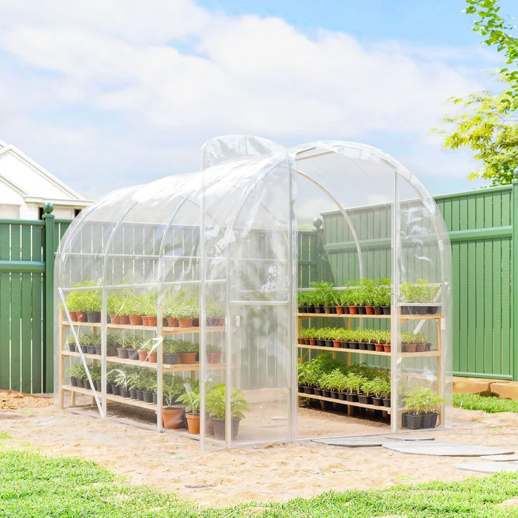 MELAYR, 3 x 2 x 2 m (6 m²) Tunnelgewächshaus mit Flügeltür und 150 g/m² PE-Folie für Gemüse, Transparent – Bild 4