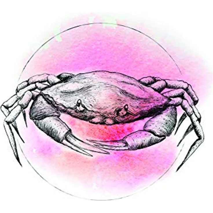 Komar Crab Watercolor Wandbild, Poster 40 x 50 cm, Hochwertiger Kunstdruck auf Premium-Fotopapier, ohne Rahmen, MADE IN GERMANY – Bild 1