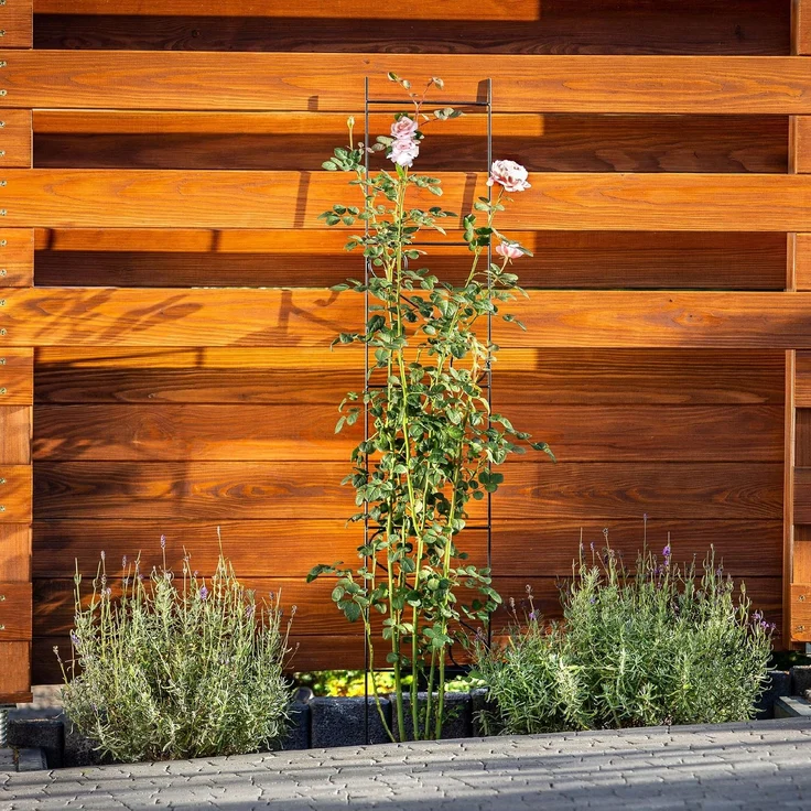 KADAX Gartenleiter, Gartenstütze für Blumen, Rosen, Kletterer, 150 cm, Pergola – Bild 5