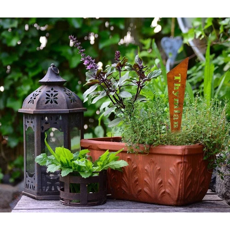 LB H&F Lilienburg Gartenstecker 6er SET Kräuterstecker Metall Metallstecker Kräutertopf (Rostschild Kennzeichnung Markierung Kräuter Kräutertopf Zubehör Samen Kräuter Pflanzen Roststecker zum Stecken Deko Kräutergarten Blumenstecker ROST KEIL, Pflanzsc... – Bild 5