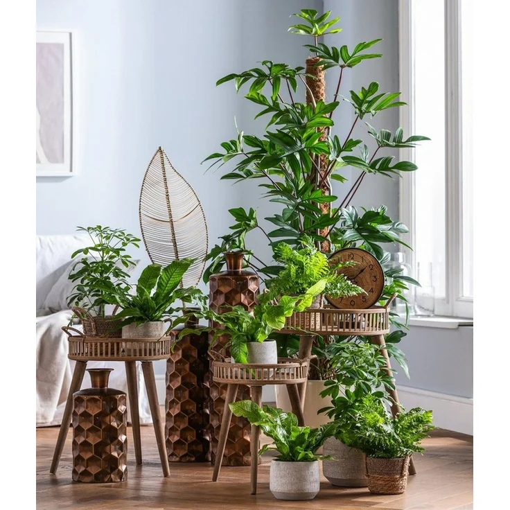 Dehner Übertopf Elias, versch. Größen, Keramik, creme, handgefertigt, robust – Bild 2