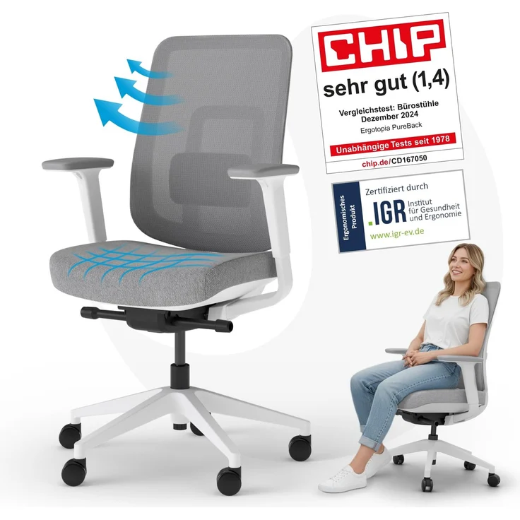 Ergotopia 'PureBack' ergonomischer Bürostuhl mit Lordosenstütze & 4D-Armlehne, Grau, ohne Kopfstütze – Bild 1