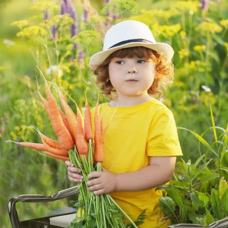 Kniebank für den Garten 10041391 – Bild 5
