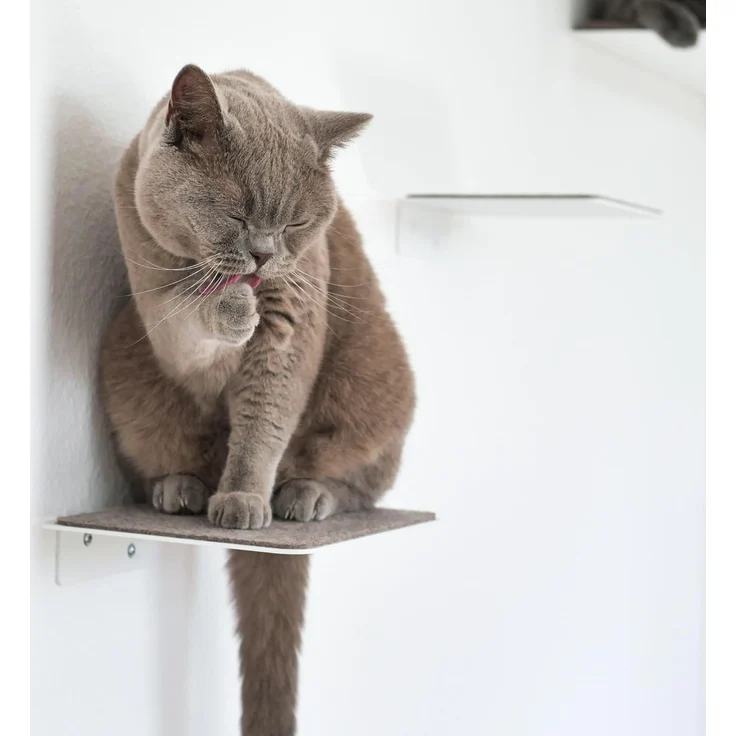LucyBalu Katzen-Kletterwand Katzentreppe, Katzen Kletterwand, Katzenleiter, Katzenstufen, 3er Set, Pulverbeschichtetes Stahlblech mit Filzauflagen – Bild 5