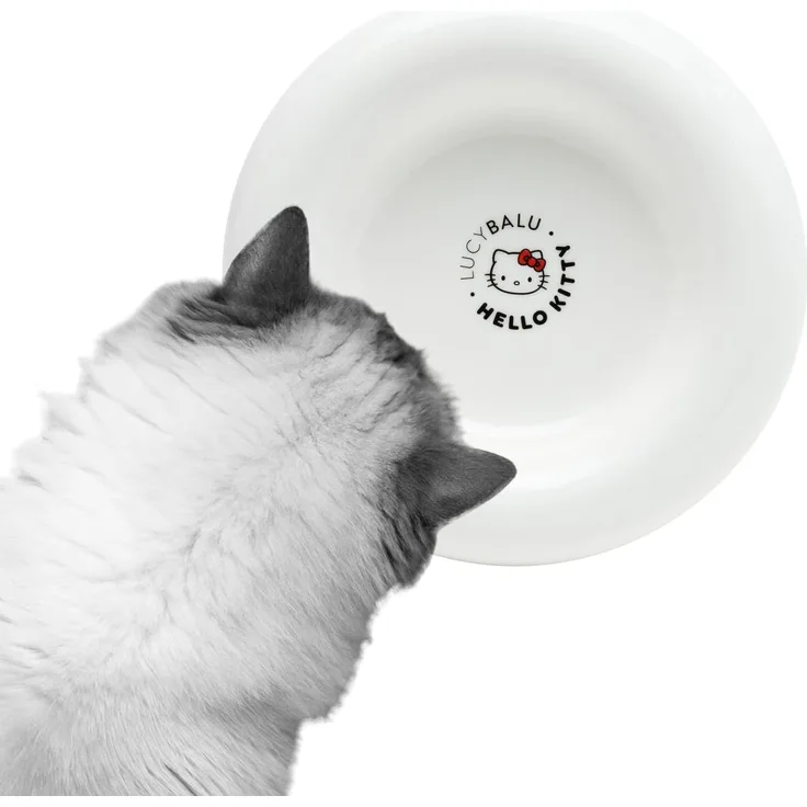 LucyBalu Futternapf DROP Katzennapf aus Porzellan - Hello Kitty Edition