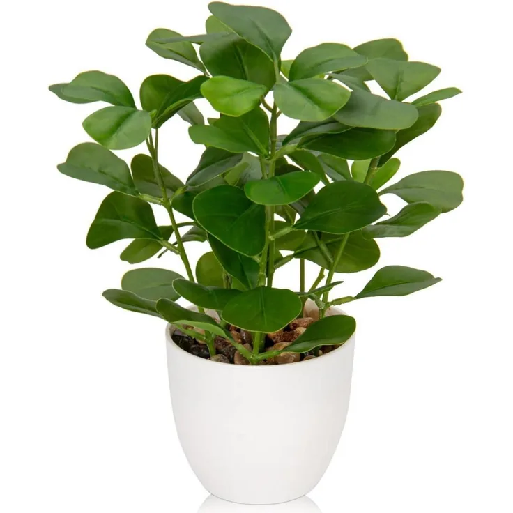 Kunstpflanze Ficus im Topf Dekopflanze für Fensterbank Badezimmer Grün