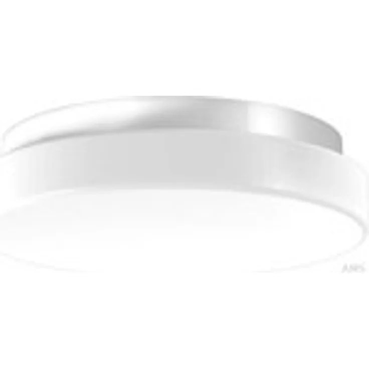 RZB LED-Decken-/Wandleuchte 4000K D300 H75 211209.002.1