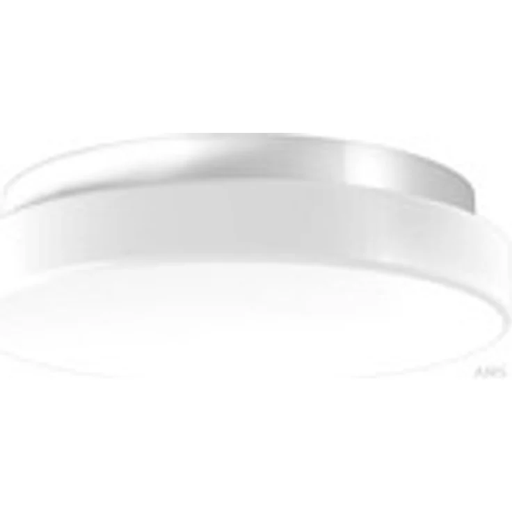 RZB LED-Decken-/Wandleuchte 4000K D300 H75 211209.002.1