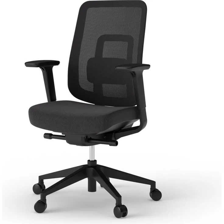 Ergotopia 'PureBack' ergonomischer Bürostuhl mit Lordosenstütze & 4D-Armlehne, Schwarz, ohne Kopfstütze – Bild 10