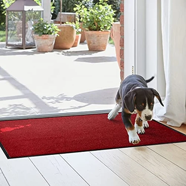 ASTRA Fußmatte Proper Tex 618, rechteckig, Höhe: 9 mm, Schmutzfangmatte, auch als Läufer, waschbar, In -und Outdoor geeignet – Bild 2