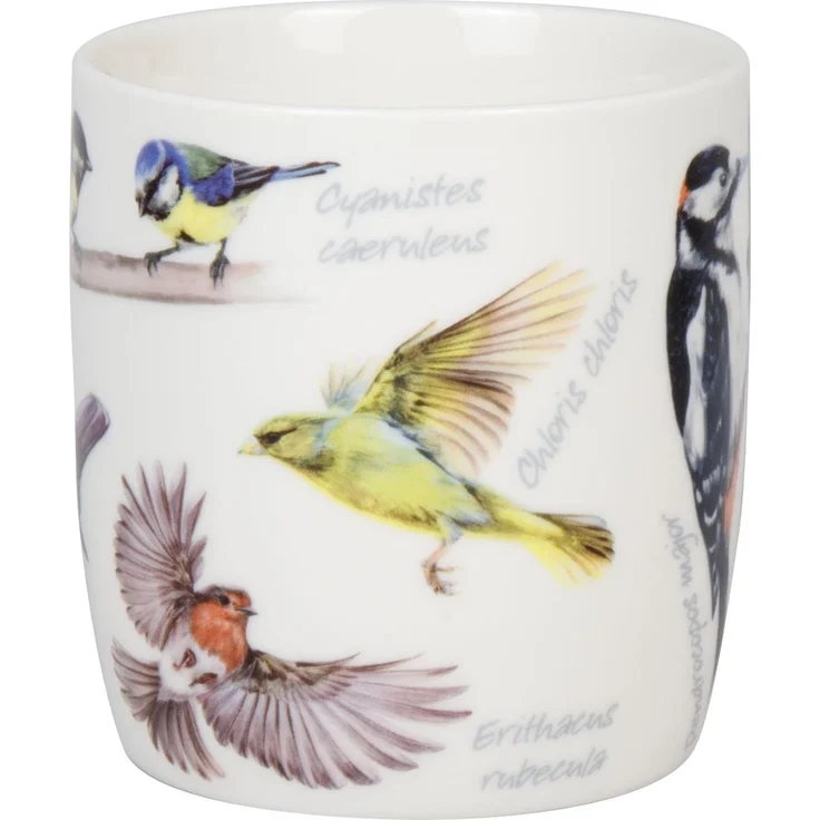 KÖNITZ 1172752976 Becher Natures Diversity - SINGVÖGEL 400 ml aus Bone China Porzellan / Artenvielfalt – Bild 3