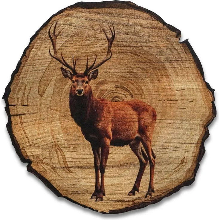 DARO Design Wandbild Tiere Holzoptik Wandbilder Wand Deko Bilder Vintage, (Hirsch - Bild klein Wohnzimmer Flur Schlafzimmer Diele Arbeitszimmer Einteilig Rund Fotodruck Baumscheiben-Tiere), 20x20 cm – Bild 1
