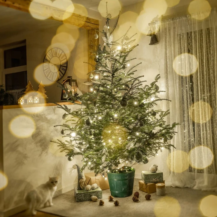 KADAX Weihnachtsbaumständer für einen echten Weihnachtsbaum, Topfbaum 2,4 m – Bild 3