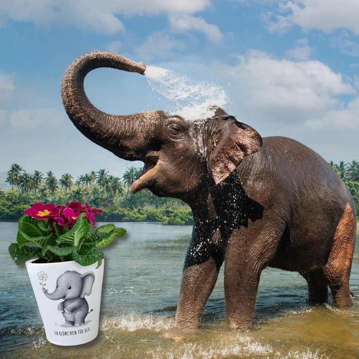 speecheese Blumentopf Grauer Elefant - Blümchen für dich Blumentopf – Bild 6