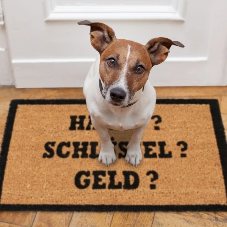 Kokosmatte ALLES DABEI 10023845 – Bild 5
