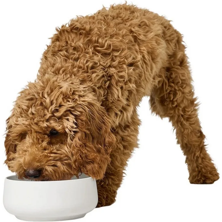 Hunter Tierbedarf Futternapf Hundenapf Mora weiß