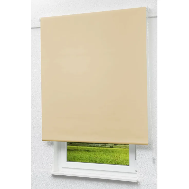 Lysel Outlet - Basisrollo Tageslicht Apricot, (B x H) 122.50x175 cm in beige/apricot